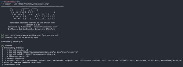 tampilan tools wpscan cli